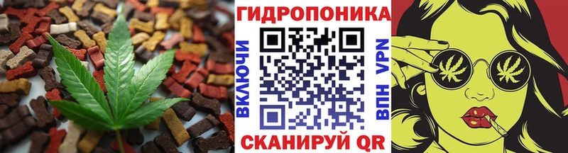Canna-Cookies конопля  кракен зеркало  Белая Холуница 