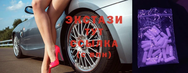 индика Тавда