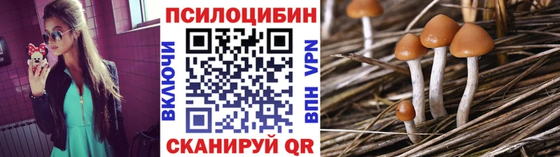 Псилоцибиновые грибы мицелий  Белая Холуница 