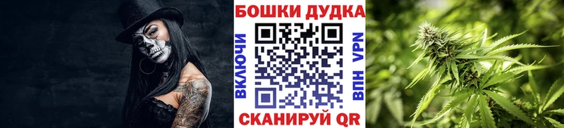 Бошки Шишки MAZAR  Белая Холуница 
